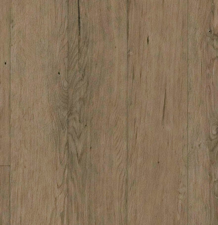 Fresh Grain Oak