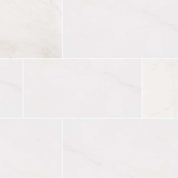 Bianco Dolomite Floor/Wall Tile 12x24x0.38" Beveled Polished